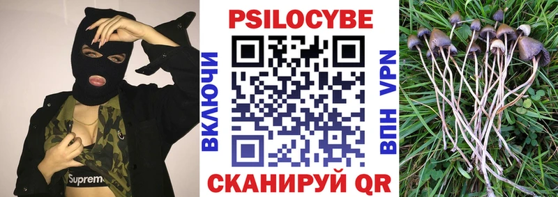 Галлюциногенные грибы Psilocybine cubensis  Сочи 